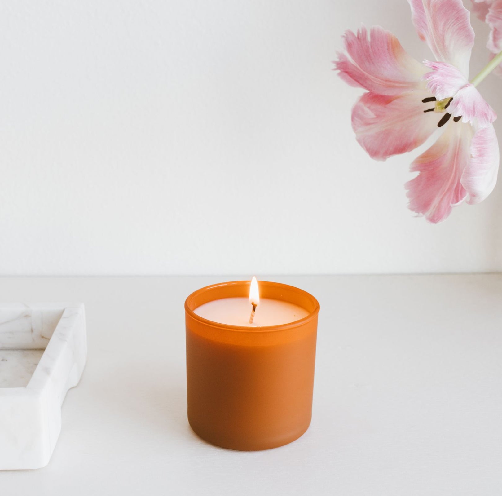 Cedar + Tobacco Candle