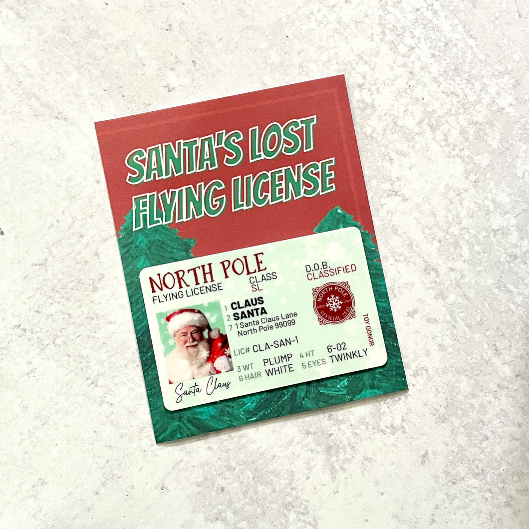 Santa's Lost Flying License