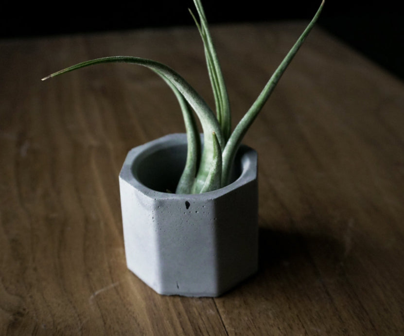 Geometric Minimalist Concrete Candlestick Holder